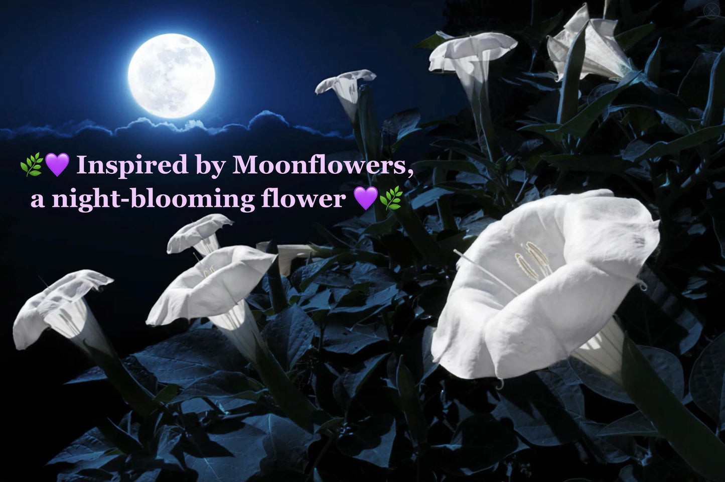 Moonflower Luna Moth Car Charm, 18k Gold-Plated Witchy Crystal Celestial Moon Prism Suncatcher, rearview mirror hanger