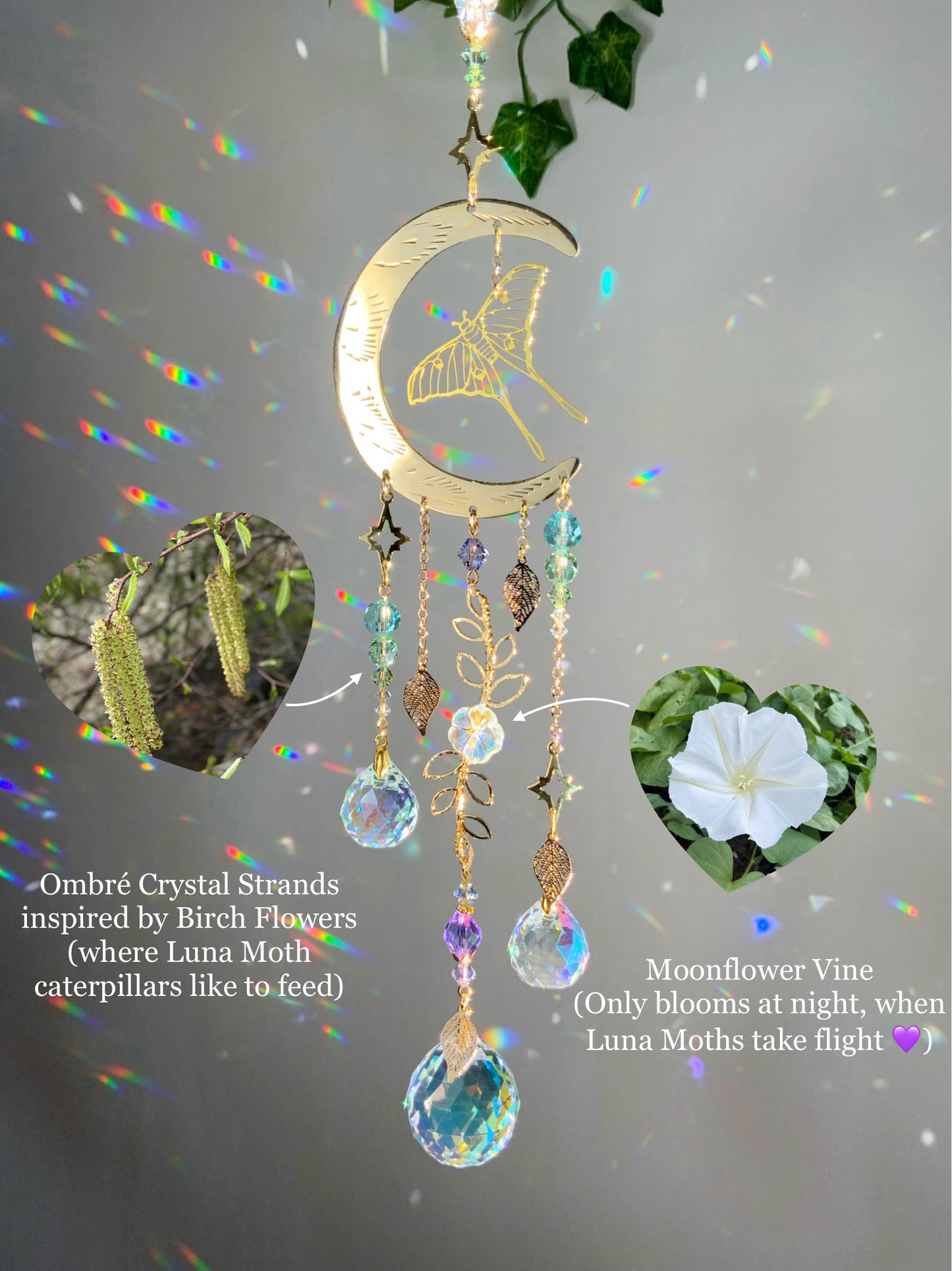 "Flight of the Luna Moth" Suncatcher, Bronze and 18k Gold-Plated Witchy Crystal Celestial Moonflower room decor